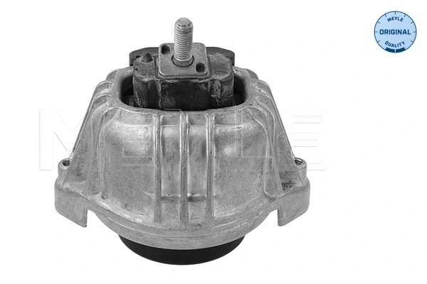 Mounting, engine (300 221 1116)