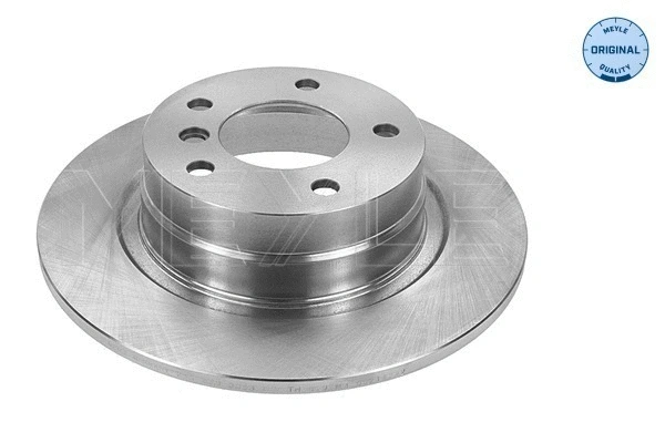 Brake Disc (315 523 0053)