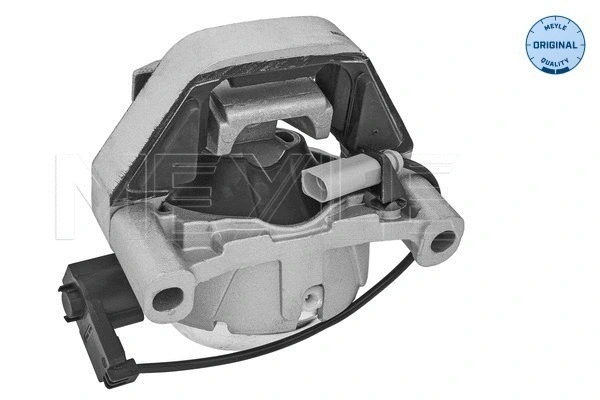 Mounting, engine (100 199 0307)