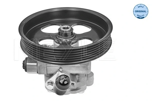 Hydraulic Pump, steering (32-14 631 0000)