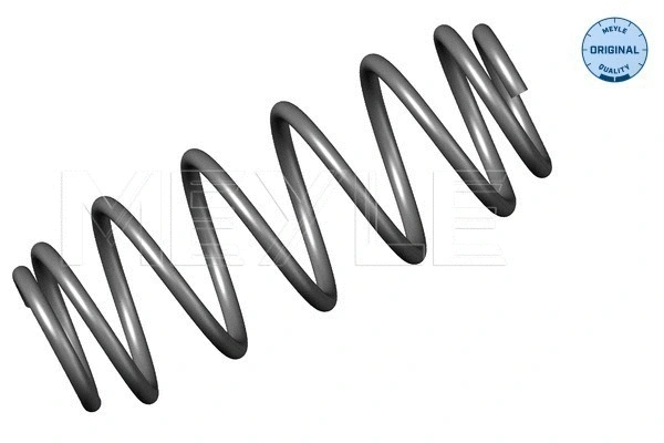 Suspension Spring (30-14 739 0000)