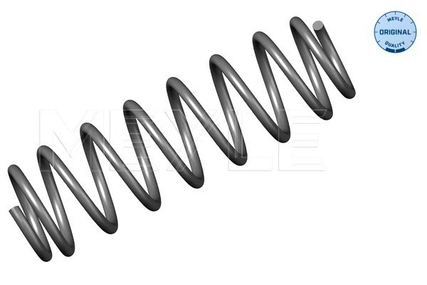 Suspension Spring (100 739 0019)