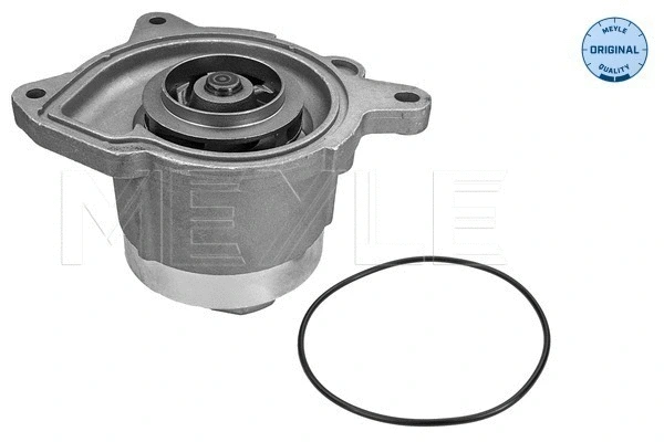 Water Pump, engine cooling (113 220 0025)