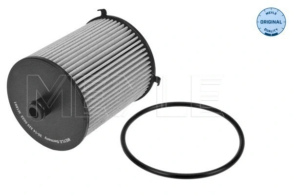 Fuel Filter (30-14 323 0022)