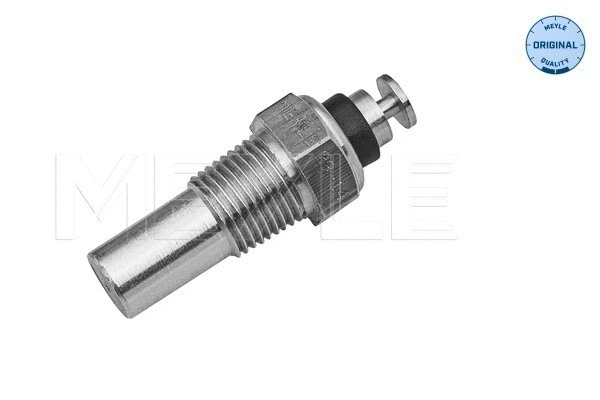 Sensor, coolant temperature (29-14 821 0001)