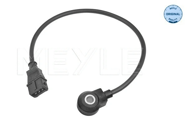Knock Sensor (214 811 0001)