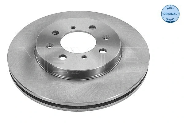 Brake Disc (31-15 521 0037)