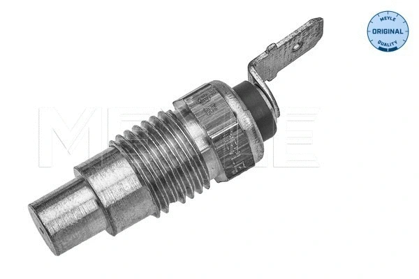 Sensor, coolant temperature (36-14 821 0004)