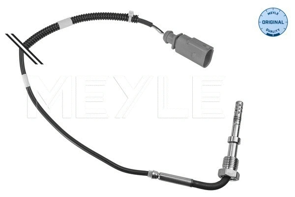 Sensor, exhaust gas temperature (114 800 0069)