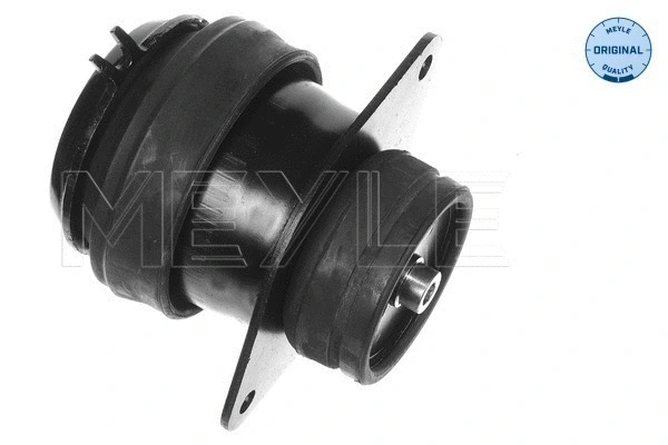 Mounting, engine (100 199 0072)