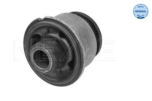 Mounting, control/trailing arm