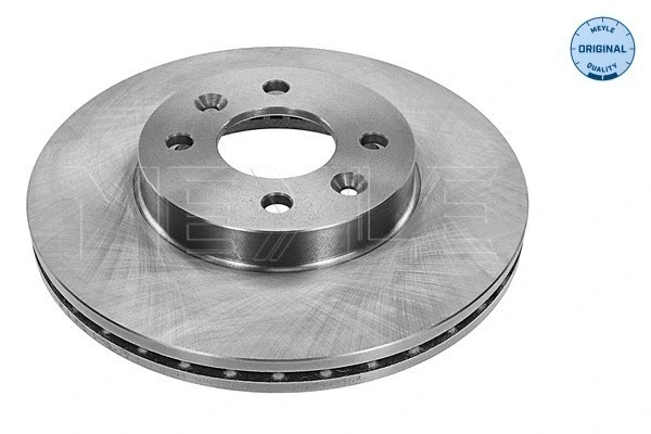 Brake Disc (16-15 521 0001)