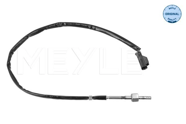 Sensor, exhaust gas temperature (214 800 0053)