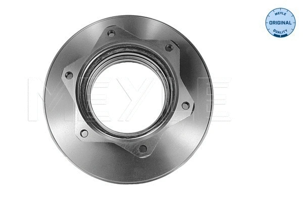 Brake Disc (015 523 2081)