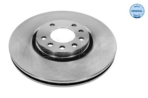 Brake Disc (615 521 0013)