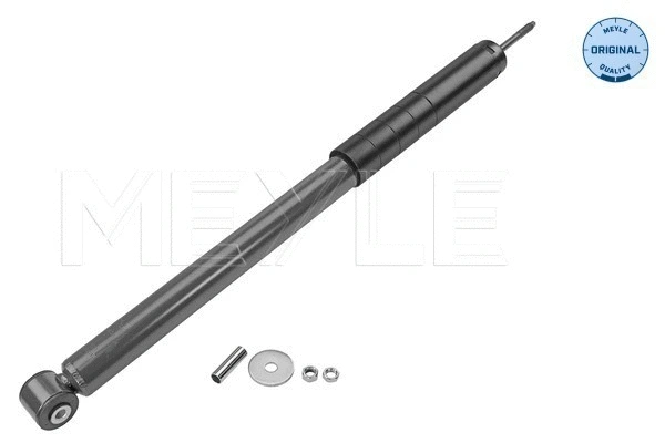 Shock Absorber (31-26 725 0007)