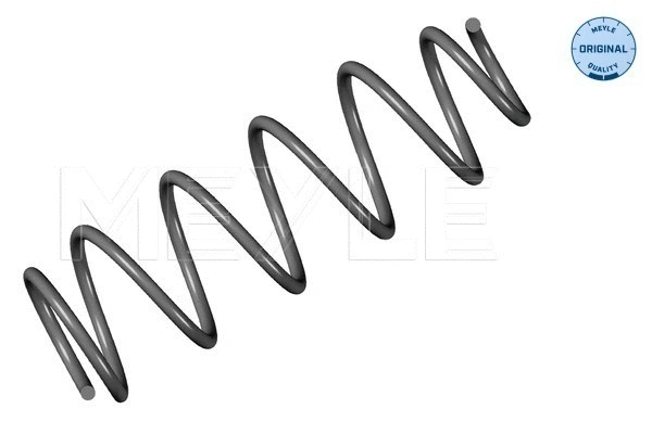 Suspension Spring (16-14 739 0008)