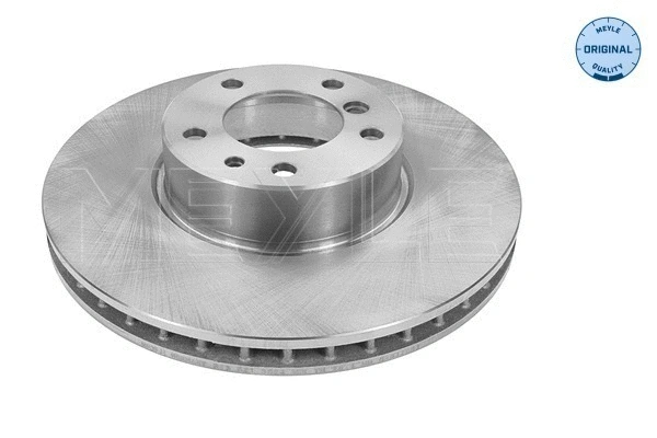 Brake Disc (315 521 3024)