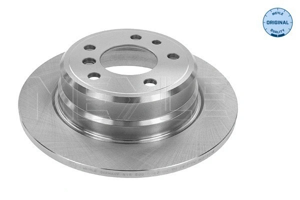 Brake Disc (315 523 3007)
