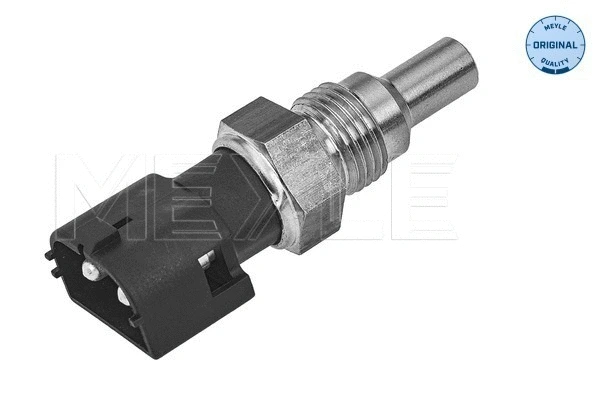 Sensor, coolant temperature (514 821 0001)