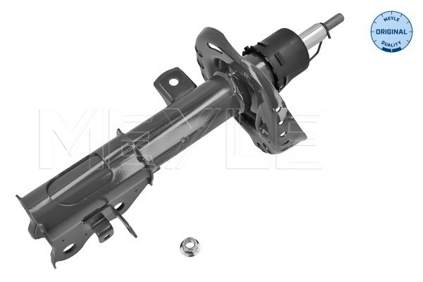 Shock Absorber (31-26 623 0012)