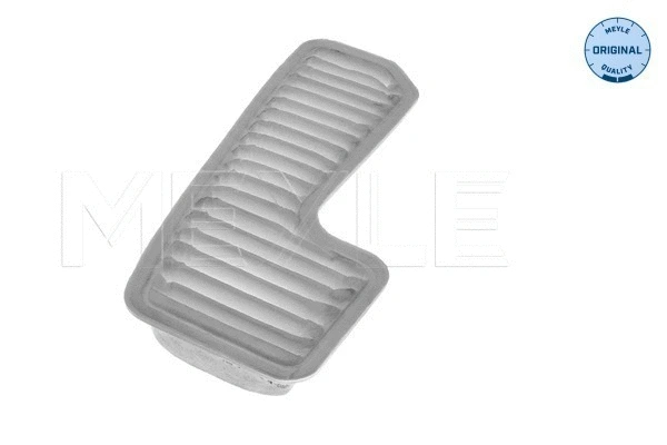 Air Filter (30-12 321 0024)