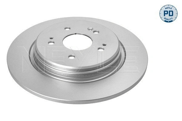 Brake Disc (31-15 523 0067/PD)