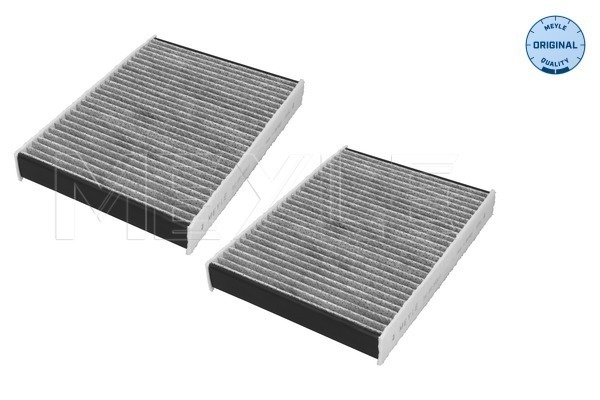 Filter, cabin air (312 320 0029/S)