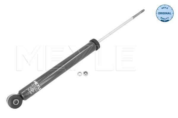 Shock Absorber (28-26 725 0005)