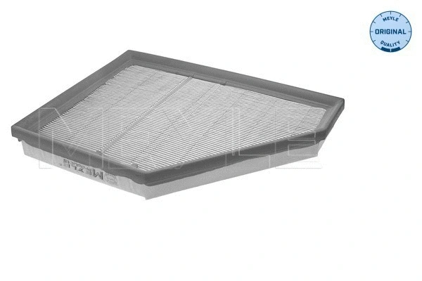 Air Filter (312 321 0028)