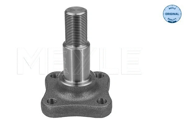 Steering Knuckle, wheel suspension (16-14 501 0000)