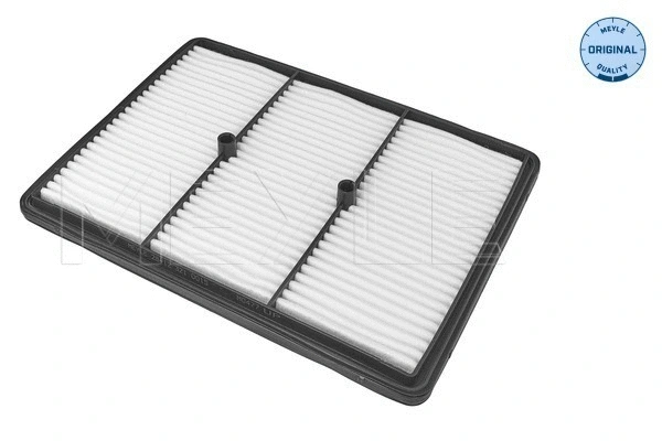 Air Filter (28-12 321 0015)