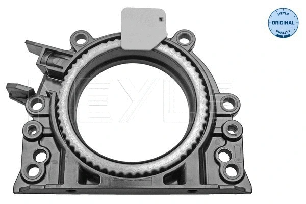 Shaft Seal, crankshaft (100 103 1000)