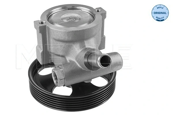 Hydraulic Pump, steering (814 631 0001)
