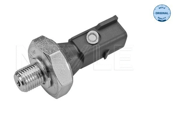 Oil Pressure Switch (114 820 0006)