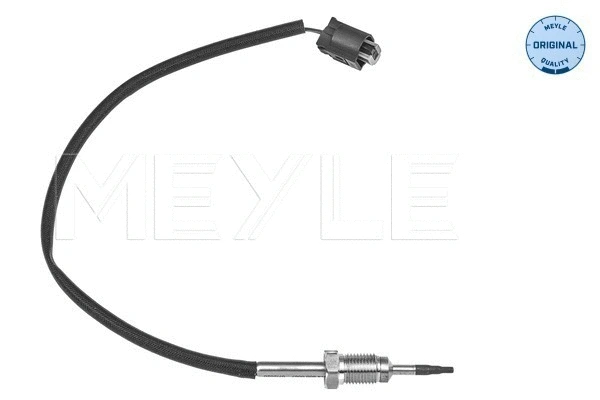 Sensor, exhaust gas temperature (314 800 0067)