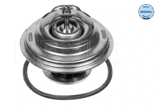 Thermostat, coolant (028 287 0006)