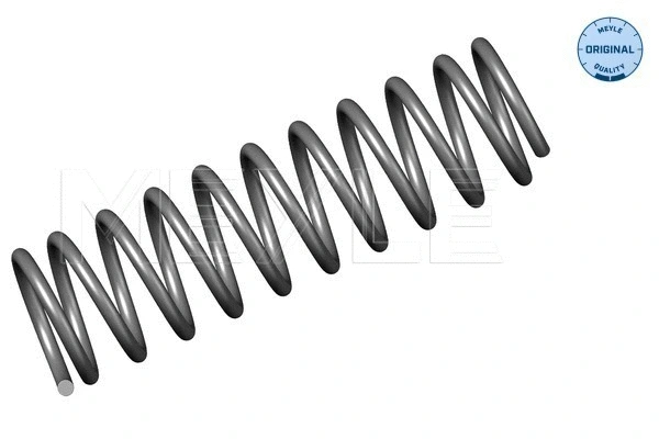 Suspension Spring (100 739 0026)