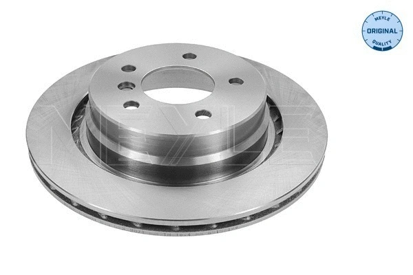 Brake Disc (315 523 3071)