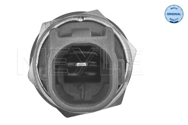 Temperature Switch, radiator fan