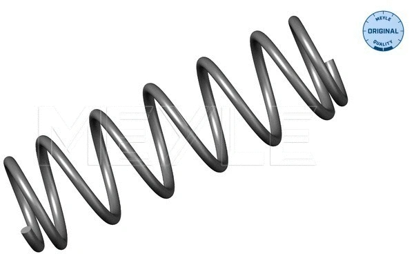 Suspension Spring (100 739 0000)