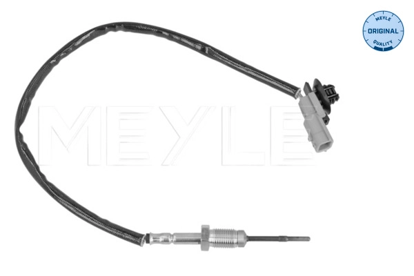 Sensor, exhaust gas temperature (614 800 0076)