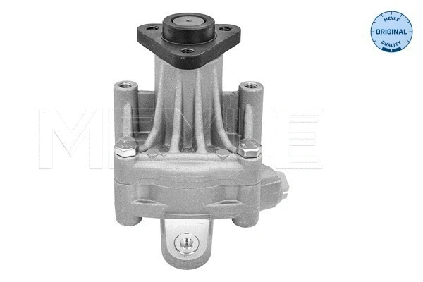 Hydraulic Pump, steering (114 631 0047)