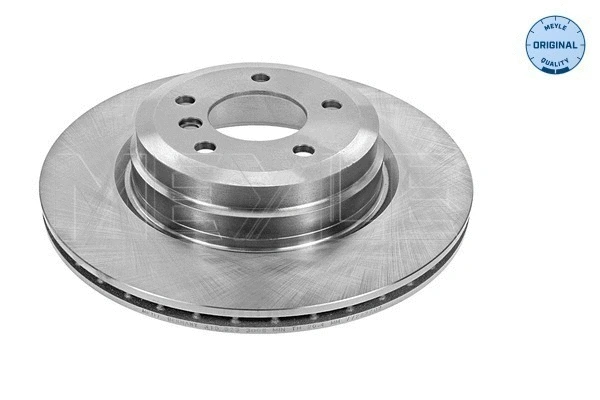 Brake Disc (315 523 0051)