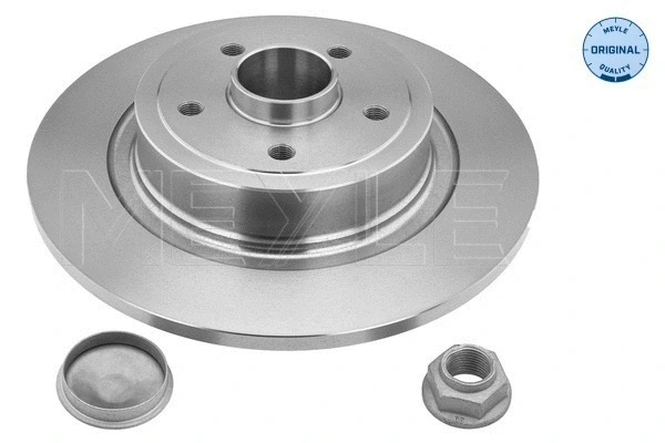 Brake Disc (16-15 523 4101)