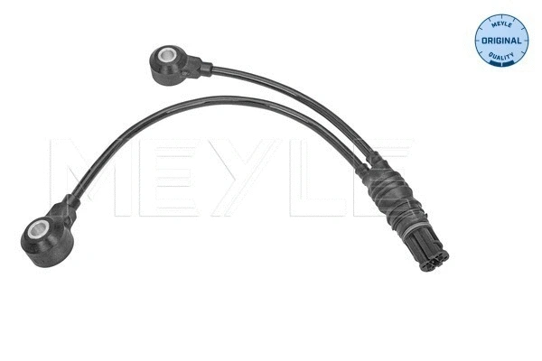 Knock Sensor (314 811 0000)