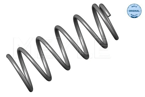 Suspension Spring (614 639 0001)