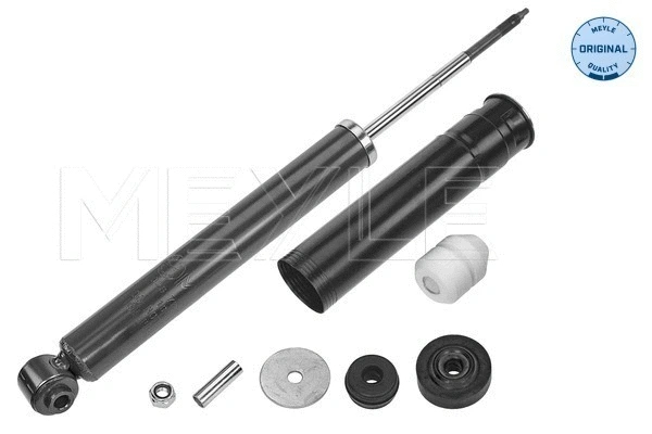 Shock Absorber (026 725 0026)