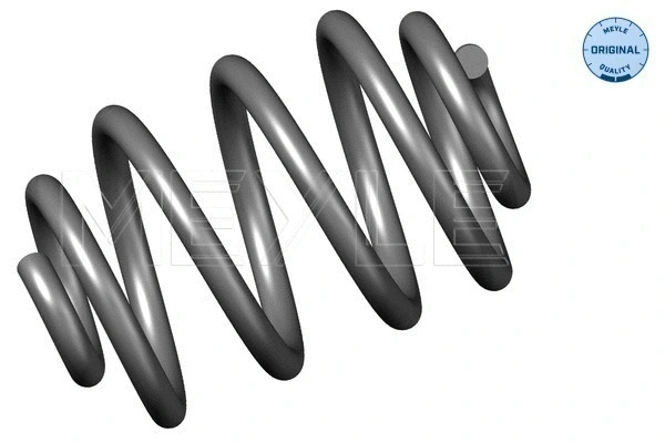 Suspension Spring (100 739 0034)