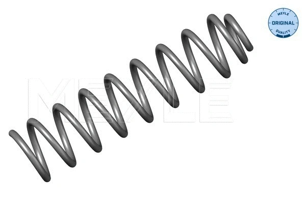 Suspension Spring (014 639 0005)